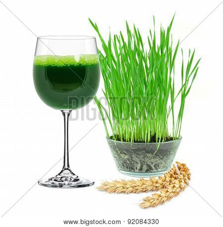 wheatgrass juice
