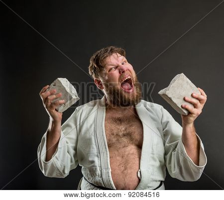 Strong karateka breaks a brick