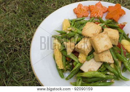 Vegetable And Tofu Stir fry Dishes.