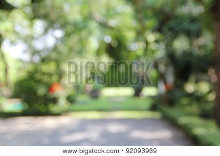 Blur Nature Green Color