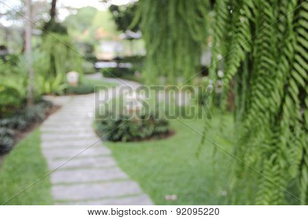 Blur Garden Park Nature Tree