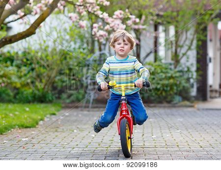 Beautiful Toddler Child Driving His First Bike Or Laufrad