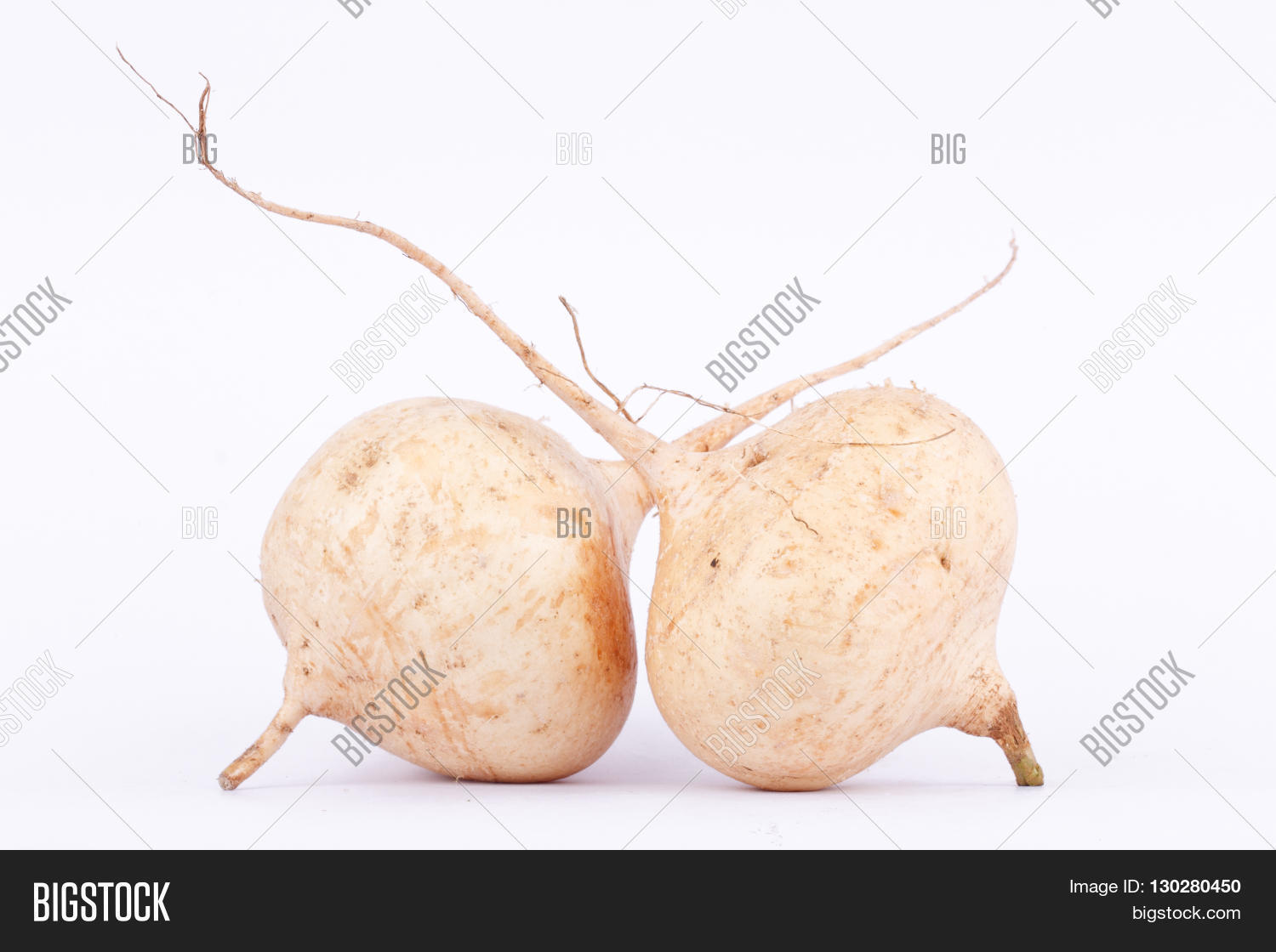 Yam Bean ( Jicama ) Image & Photo (Free Trial) Bigstock