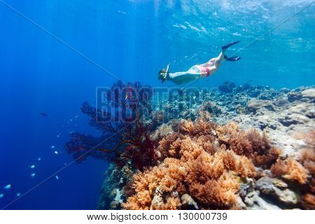 Underwater photo of woman snorkeling and free diving in a clear tropical water at coral reef