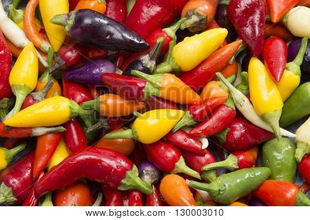 Hot Peppers In Wok Pan