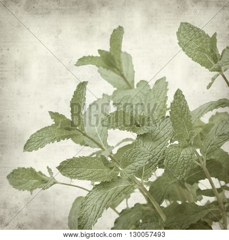 Textured Old Paper Background