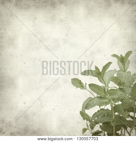 Textured Old Paper Background