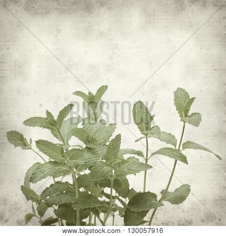 Textured Old Paper Background