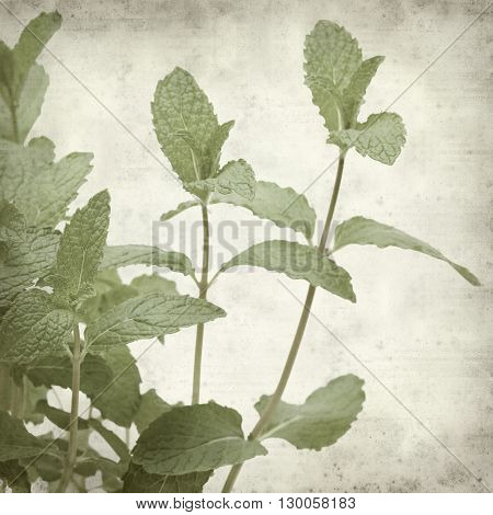 Textured Old Paper Background