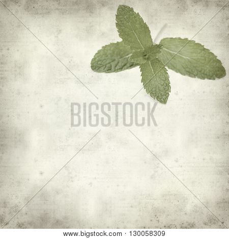 Textured Old Paper Background