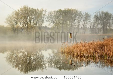 Monring Reflections on a Calm Pond by the Rice Creek North Regional Trail in Shoreview Minnesota