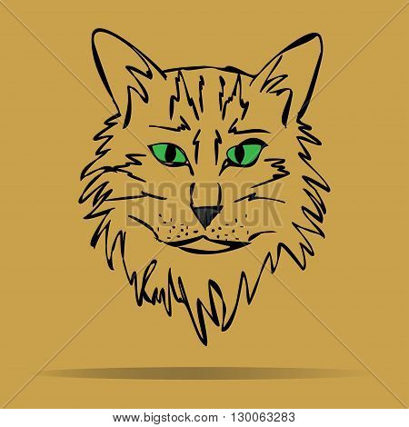 Vector sketch of a stylized kitten's face