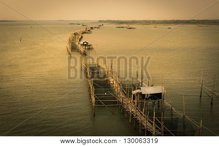 Giant trap fish in the Chanthaburi Province Thailand