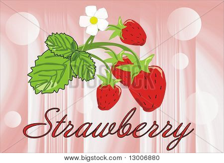 Erdbeeren