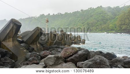 Tetrapod Barrier At Laupahoehoe Point