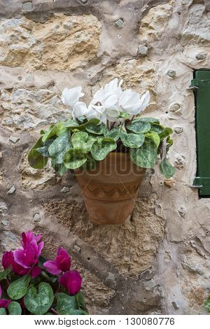 village, flowerpots street in the tourist island of Mallorca, Valdemosa city in Spain