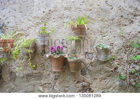 vacation, flowerpots street in the tourist island of Mallorca, Valdemosa city in Spain