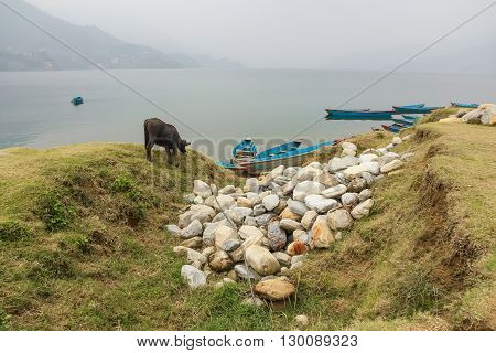 Phewa lake in cloudy weather, Pokhara, Nepal
