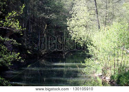 The river Schwarzach near Nuremberg in Bavaria