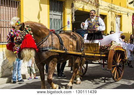 QUARTU S.E., ITALY - July 28, 2012: Feast of St. John - Sardinia - the Obriere that pulls the buggy.