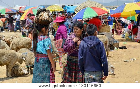 QUETZALTENANGO GUATEMALA april 28 2016 : People sale sheeps Quetzaltenango maket. This native market is the most colorful in Central America
