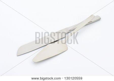 set of metal cake knife and server