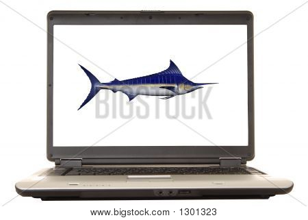 Laptop Marlin