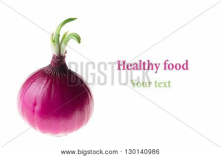 Bulb pink onion on a white background. Peeled shiny onion. Isolated.
