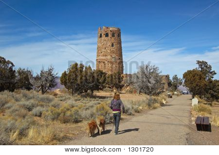 Artistes tour Grand Canyon