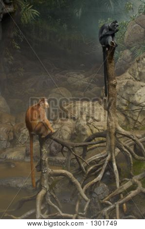 Deux singes sur des arbres