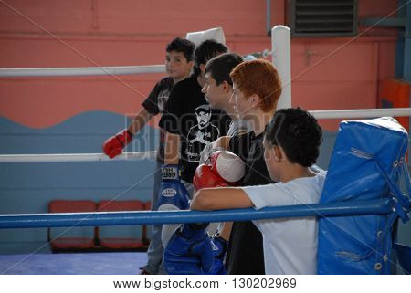 ANKARA/TURKEY-OCTOBER 4, 2008: Young boxers at the box ring of sport hall during the training. October 4, 2008-Ankara/Turkey