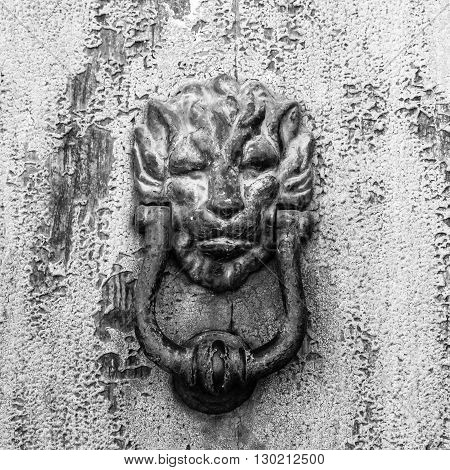 Horror house door, lion head knocker. Grayscale