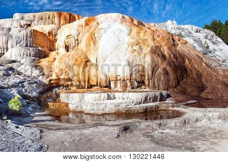 The colors and patterns Cleopatra Terrace created by the interaction of the various bacteria and minerals Mammoth Hot Springs