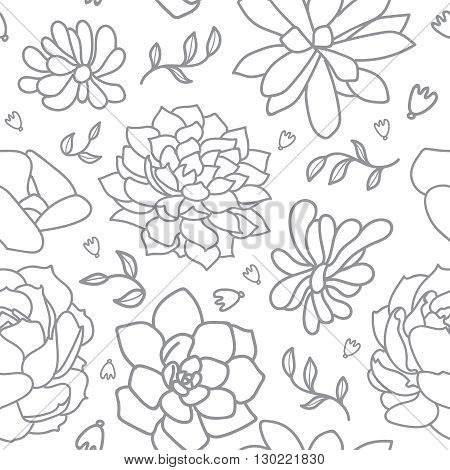 Succulent flower isolated hand drawn vector illustration