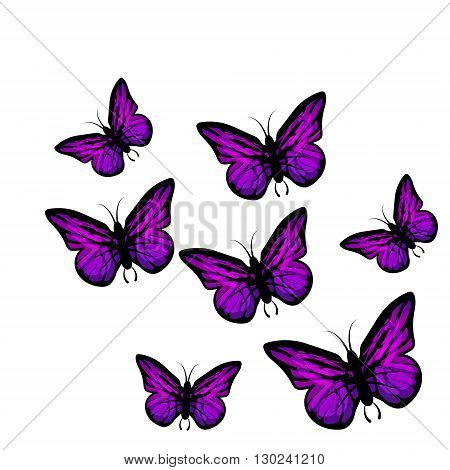 Vector Cartoon Pink Butterfly white flower bouquet, floral,