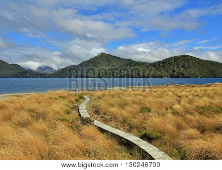 Scene at Green Lake New Zealand Dreamlike landscape. Curved gangplank leading to the lake. Tramping route in the Fjordland National Park.