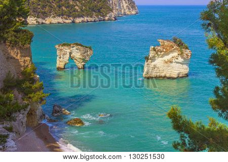 The most beautiful coasts of Italy:Baia dei Mergoli beach (Apulia).The beaches offer a breathtaking view with brigthly white karstic cliffs,emerald-blue sea,lush greenery of olive-trees,pine-woods.