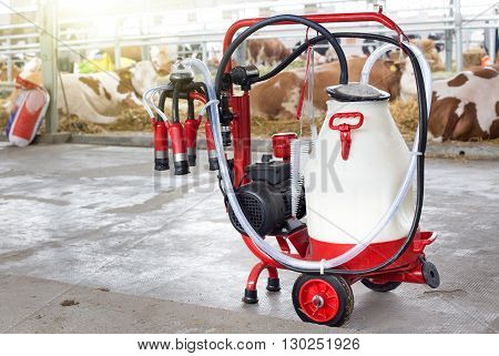 Milking Machine In Front Of Cows