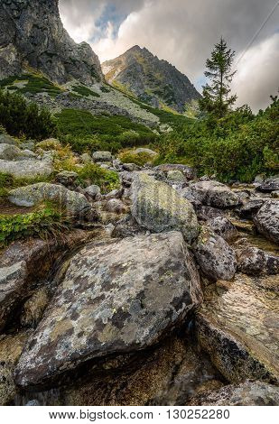Mountain Landscape with a Creek and Rocks in Foreground on Cloudy Day. Mlynicka Valley High Tatra Slovakia.