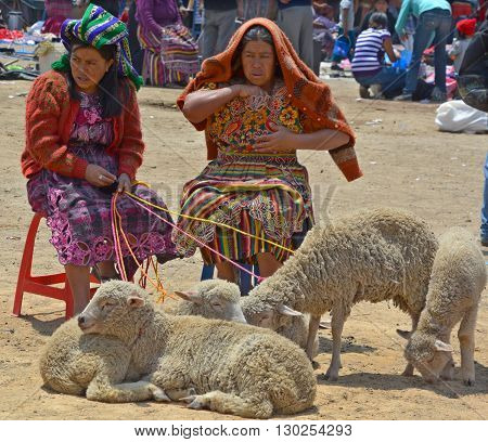 QUETZALTENANGO GUATEMALA april 28 2016 : People sale sheeps Quetzaltenango maket. This native market is the most colorful in Central America