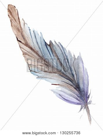Watercolor gray grey blue violet brown feather set isolated