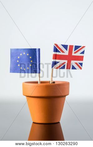 Plant Pot With European And British Flag