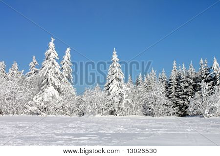 paesaggio invernale