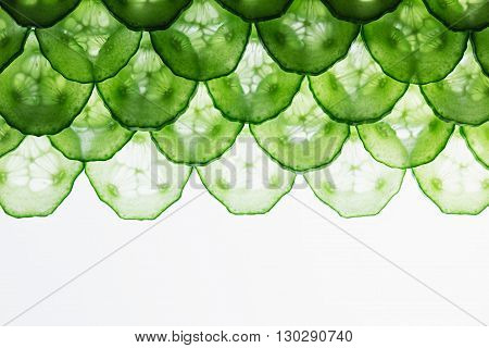 Cucumber slices. Pattern. Frame with the copy space. Food background. Macro. Texture.