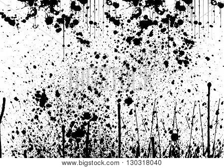 vector splatter painted detail in black over white