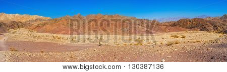 The dry yellow riverbed surrounded by red slopes in Eilat mountains Israel.