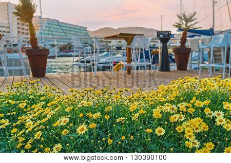The outdoor cafes of Eilat Marina decorated with the lovely flower beds Israel.