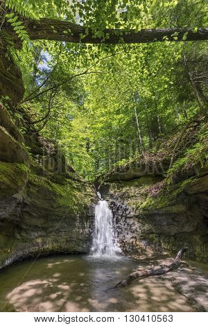 A waterfall plunges into The Punch Bowl a small box canyon at Turkey Run State Park in Parke County Indiana.
