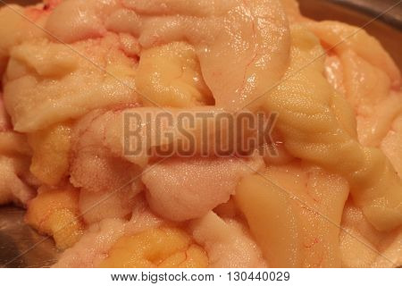 bunch raw of gutted fish eggs macro shot