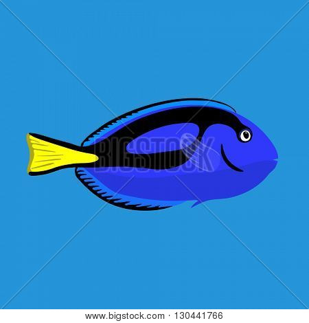 Tropical ocean surgeon fish, vector illustration